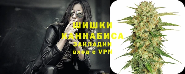 тгк Мегион