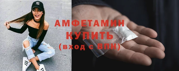 прущие грибы Сосновоборск