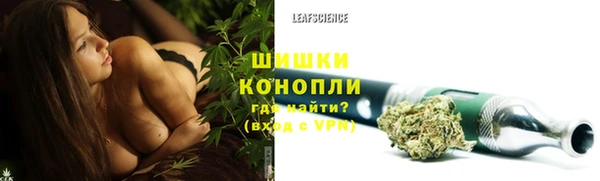 тгк Мегион