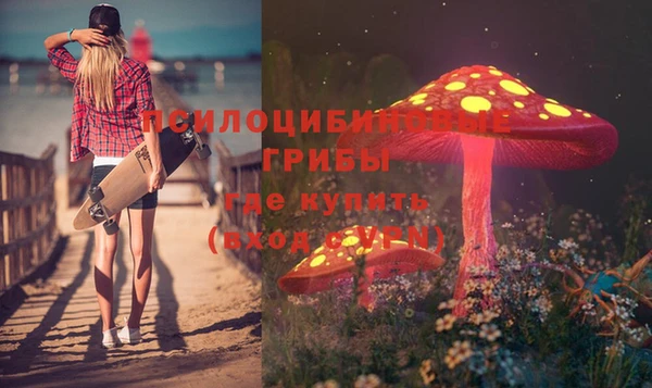 тгк Мегион