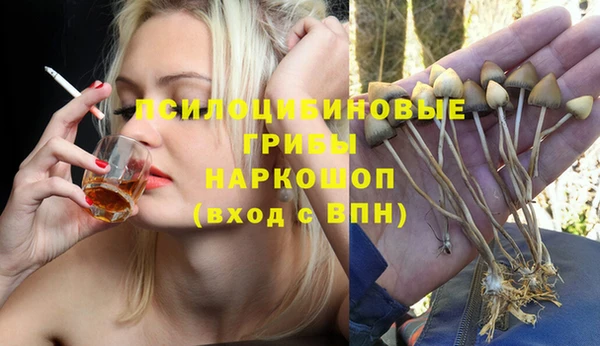 apvp Медногорск