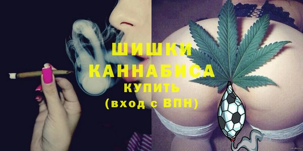 apvp Медногорск