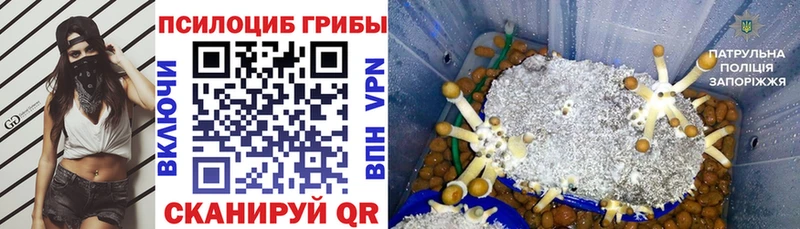 Галлюциногенные грибы Magic Shrooms Дегтярск